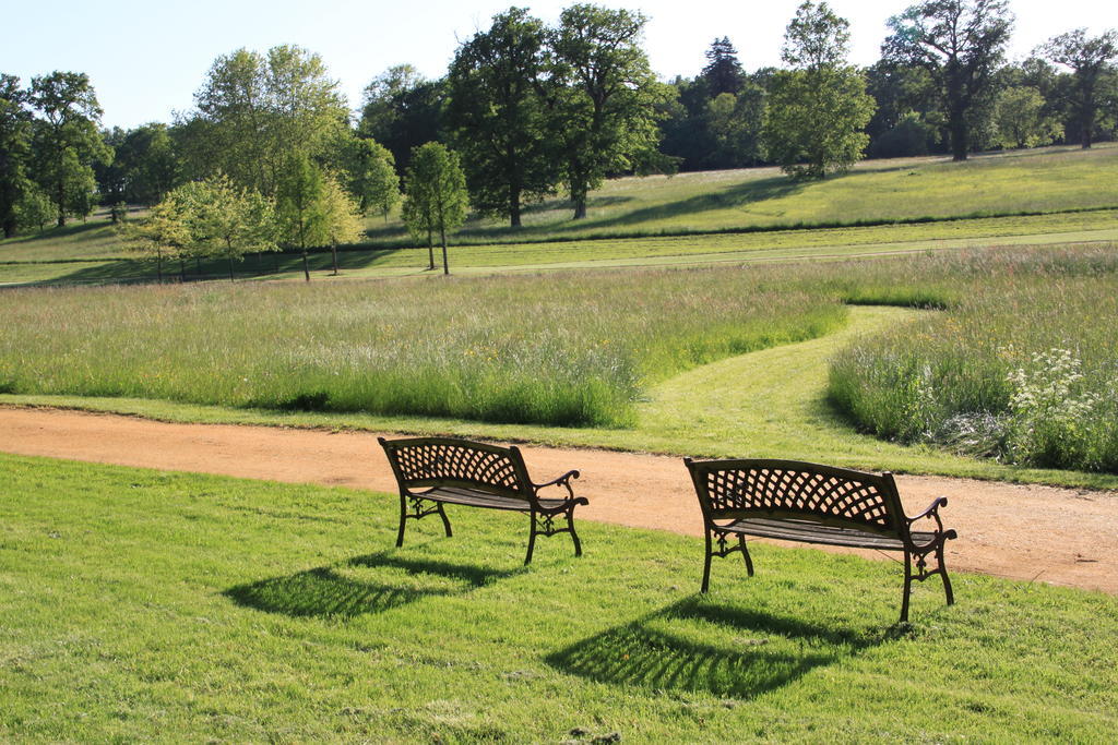 Chateau De Brissac Bed and Breakfast Esterno foto